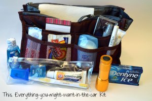 Everything-you-might-want-in-the-car Kit by thisthatandcraft